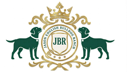 jasonenglishbulldogranch.com
